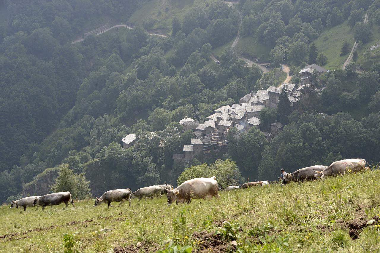 Agriturismo Valliera Castelmagno Eksteriør billede